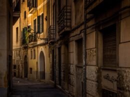 Tour a Palma desde el Área Este