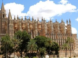 PalmaBus Premium con Catedral y Paseo Guiado