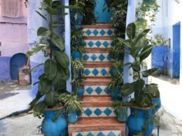 Recorrido por Chefchaouen la ciudad azul