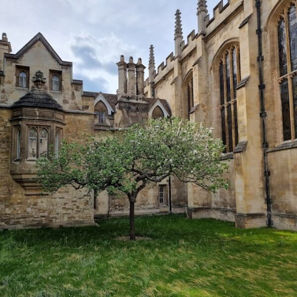 Experiencia por el Castillo de Windsor, Stonehenge y Oxford - Imagen 5