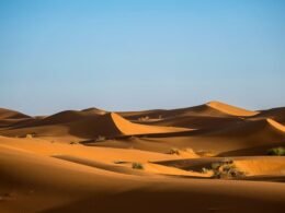 desierto agaway