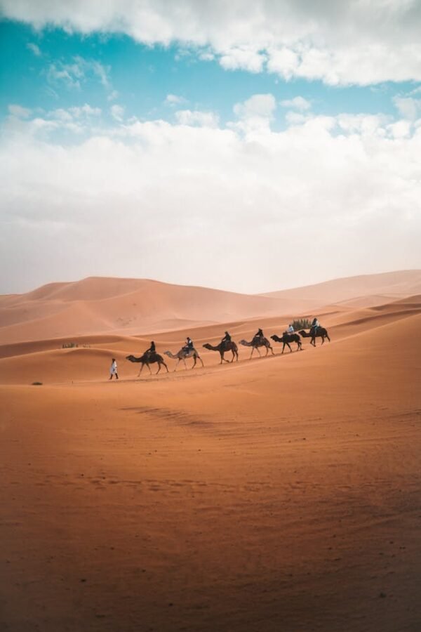 tour desierto