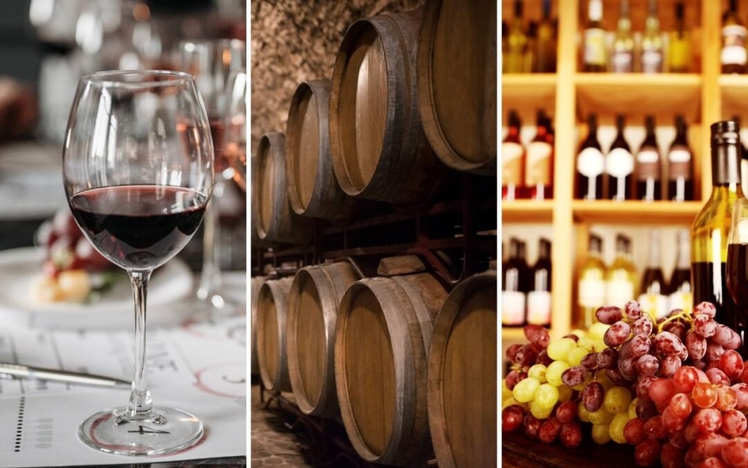 Madrid Wine Tours