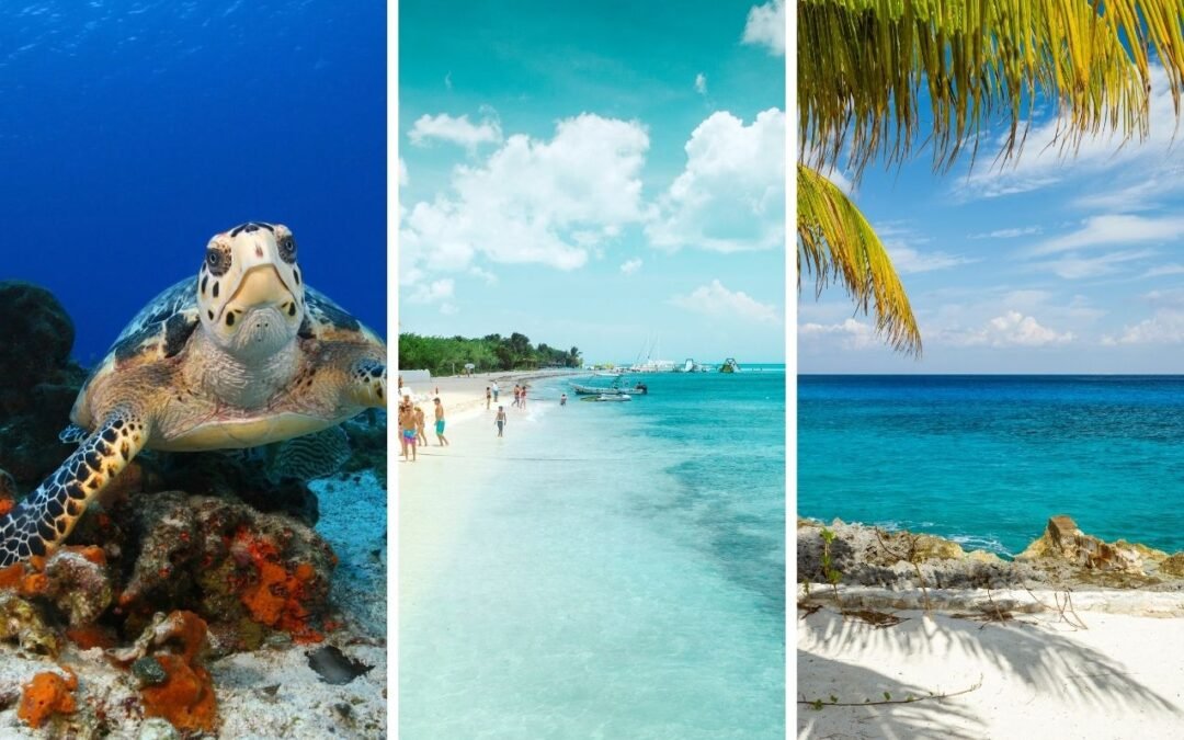 tour a cozumel desde playa del carmen img